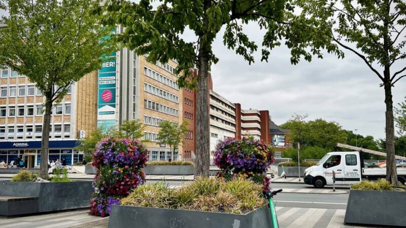 Duisburger Hauptbahnhof: Klimaresistente Bäume sollen Bahnhofsvorplatz kühlen