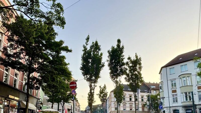 Brennpunkte in Düsseldorf : „Er hat gedroht, mir die Spritze in den Hals zu rammen“