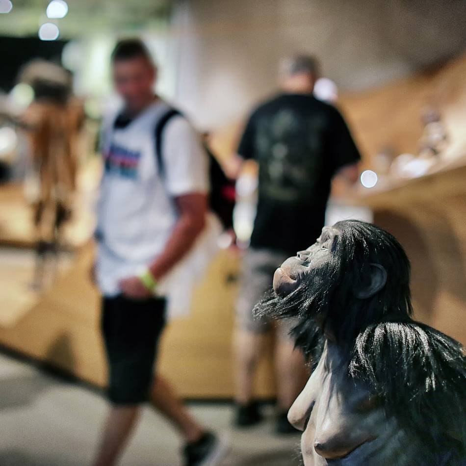 In den Sommerferien die Eiszeit im Neanderthal Museum erkunden: Vom Lockruf des Neandertalers