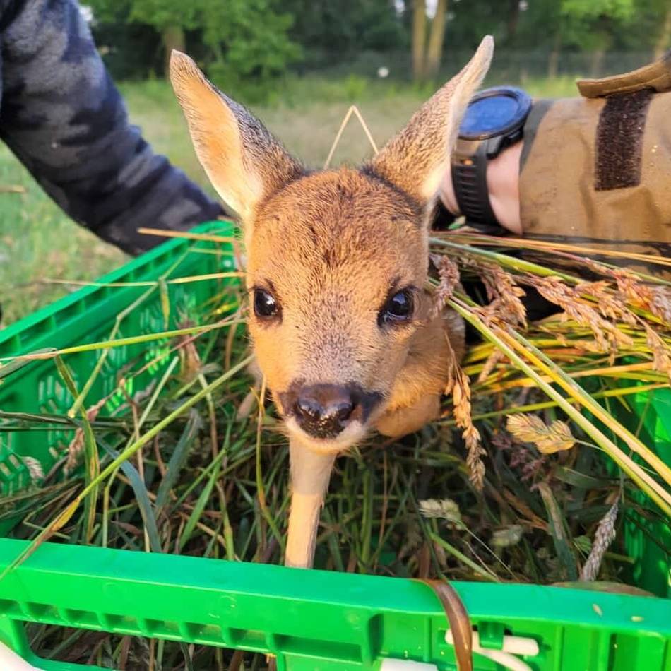 NEW-Vereinsförderung in Mönchengladbach: Humanmilchbank und Tierretter-Vereine sind Publikumslieblinge bei Wettbewerb