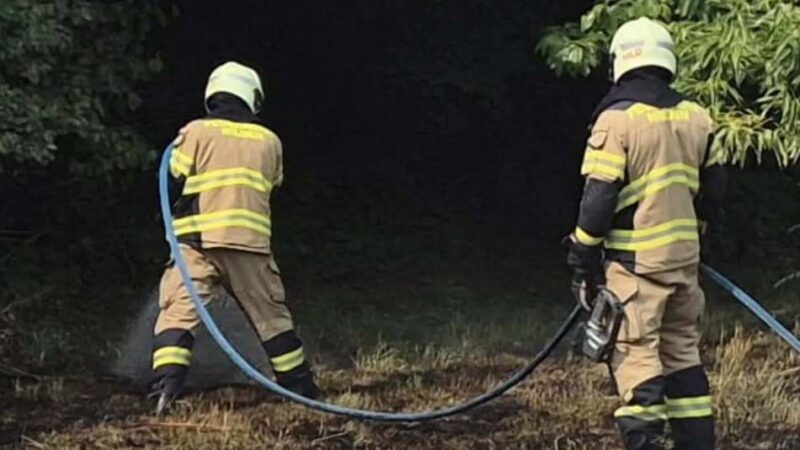Einsatz für die Feuerwehr Hilden: Flächenbrand an der Gerresheimer Straße gelöscht