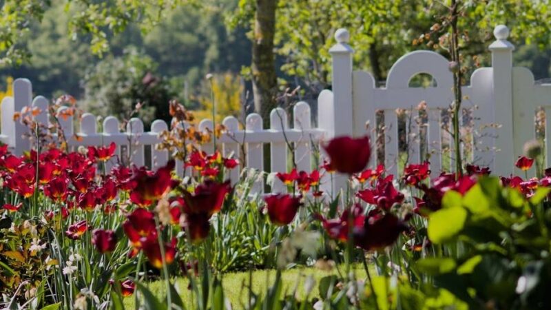 Am Pfingstwochenende: Diese Gärten öffnen ihre Tore für Besucher