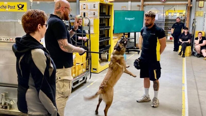 Hundetrainer gibt Post-Zustellern Verhaltenstipps: „Die wenigsten Halter haben ihren Hund im Griff“