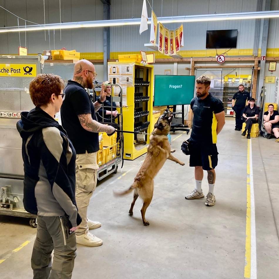 Hundetrainer gibt Post-Zustellern Verhaltenstipps: „Die wenigsten Halter haben ihren Hund im Griff“