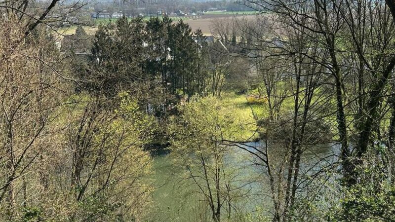 Großevent 2029: Kolloquium zur Landesgartenschau bringt Fachwelt nach Kleve