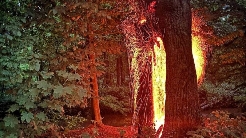 Brennender Baum in Reuschenberg gelöscht: Nur drei Unwetter-Einsätze in Neuss