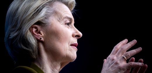 Ursula von der Leyen: AfD und BSW machen gemeinsame Sache – gegen EU-Kommissionschefin