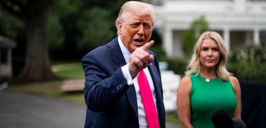 Donald Trump: Kann der US-Präsident seinen Gegnern die Staatsbürgerschaft entziehen?