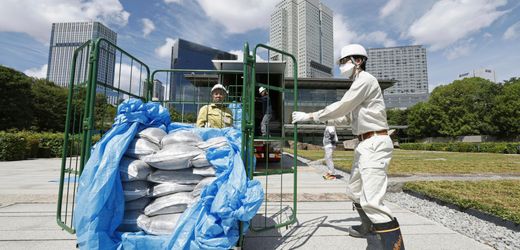 Japan: Premier Shigeru Ishiba lässt seinen Rasen nun auf Fukushima-Erde wachsen