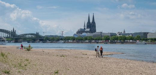 Klimakrise: Rhein könnte laut Studie bis 2100 bis zu 4,2 Grad wärmer werden