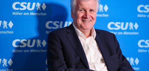 Bundesverfassungsgericht: Horst Seehofer hätte Frauke Brosius-Gersdorf gewählt