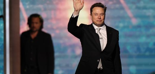 Elon Musk gegen Donald Trump: Eine dritte Partei für Amerika