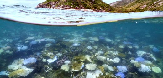 Uno-Klimabeauftragter ermahnt Australien
