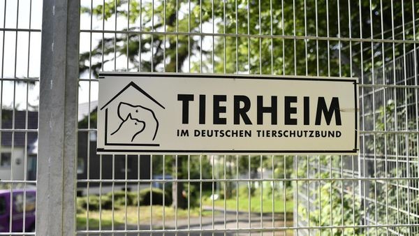 Velberter Tierheim gerettet: Neuer Vorstand für Verein
