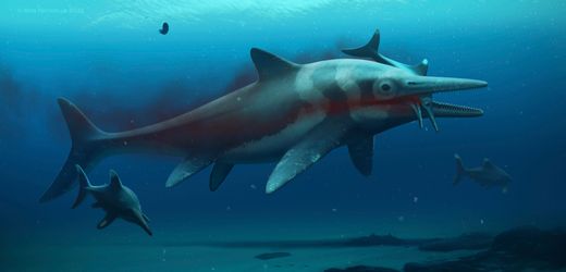 Fischsaurier-Fossil in Baden-Württemberg: Lautloser Riesenräuber nutzte flügelartige Vorderflossen