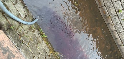 Edesheim: Rotwein aus 30.000-Liter-Tank in Pfälzer Bach abgeleitet