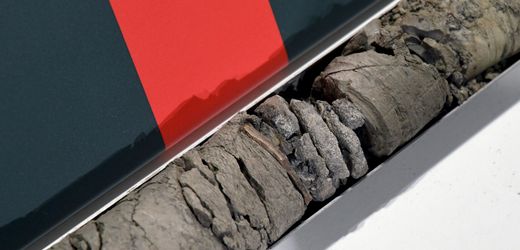 Denver: Naturkundemuseum entdeckt Dinoknochen unter eigenem Parkplatz
