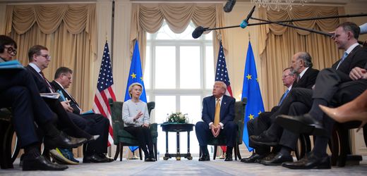 Zoll-Deal zwischen EU und den USA: Beim Handel gilt jetzt wieder das Gesetz des Dschungels