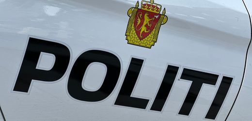 Norwegen: Schüsse in Osloer Einkaufszentrum – Polizei fasst mutmaßlichen Täter