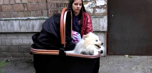 Russland-Ukraine-Krieg: Hund rettet Familie vor nächtlichem Angriff in Kyjiw