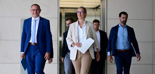 AfD-Fraktionsklausur: »Remigration« und »Leitkultur« gestrichen – und ohne Machtoption