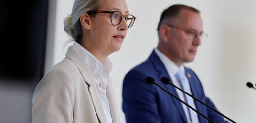 AfD: Fraktion gibt sich Benimmregeln für gemäßigtes Auftreten im Bundestag