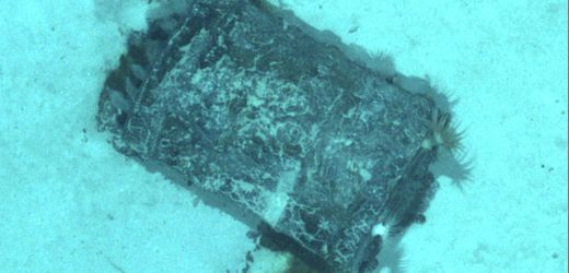 Atommüll im Atlantik: Lecks an Fässern entdeckt – Austritt von Material festgestellt