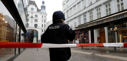 Kriminalität in Wien: Ein Leben zwischen Bandenkriegen und Terror – Podcast