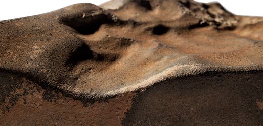 Mars: Schwerster je gefundener Marsbrocken wird versteigert – Millionenerlös erwartet