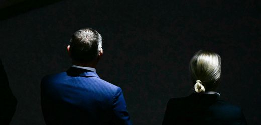 AfD: Alice Weidel und Tino Chrupalla verdoppeln sich ihr Gehalt