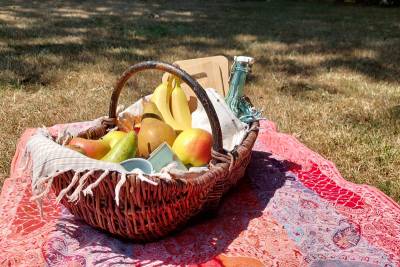 Tipp für die Ferien aus Niederkrüchten: Heide, Schwalm und Moor mit Picknick