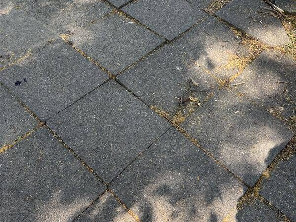 Erfurter Straße: Darum soll der Schulweg in Ratingen West sicherer werden