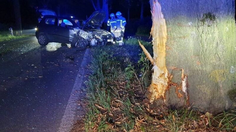 Am Asperberg: Autofahrer fährt nachts gegen Baum und verletzt sich