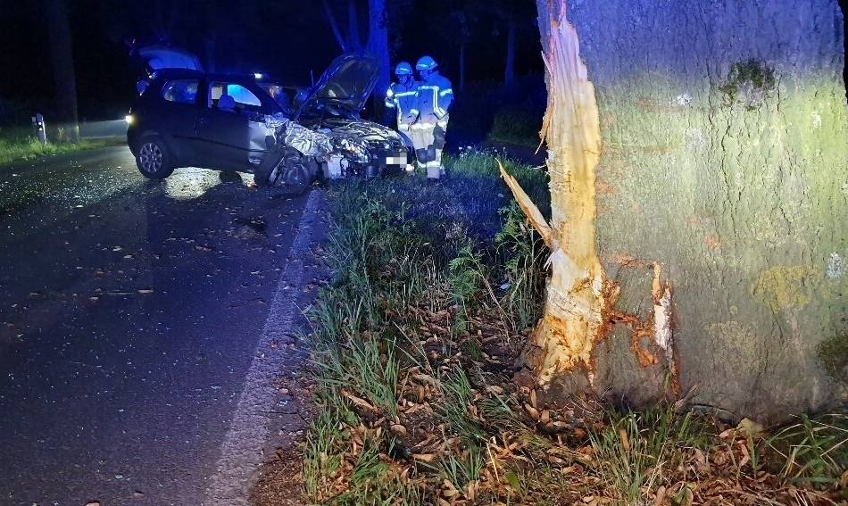 Am Asperberg: Autofahrer fährt nachts gegen Baum und verletzt sich