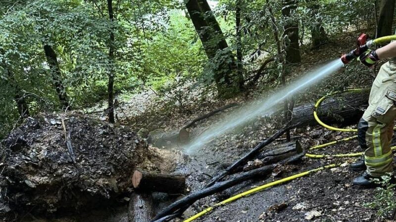 Feuerwehr-Einsatz in Wermelskirchen: Waldbrand war schnell unter Kontrolle