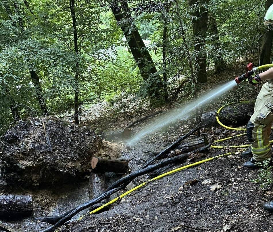 Feuerwehr-Einsatz in Wermelskirchen: Waldbrand war schnell unter Kontrolle
