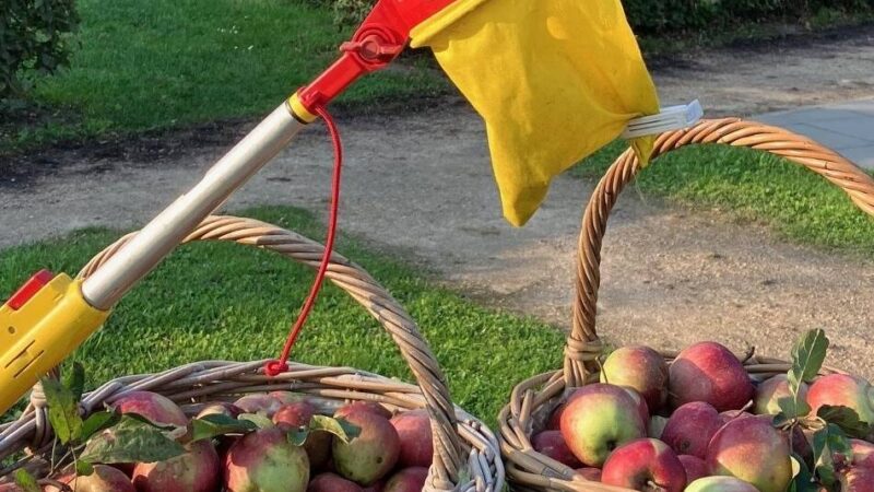 Wettbewerb „Nettetal fürs Klima“: Saftige Streuobstwiesen und bunte Staudenbeete