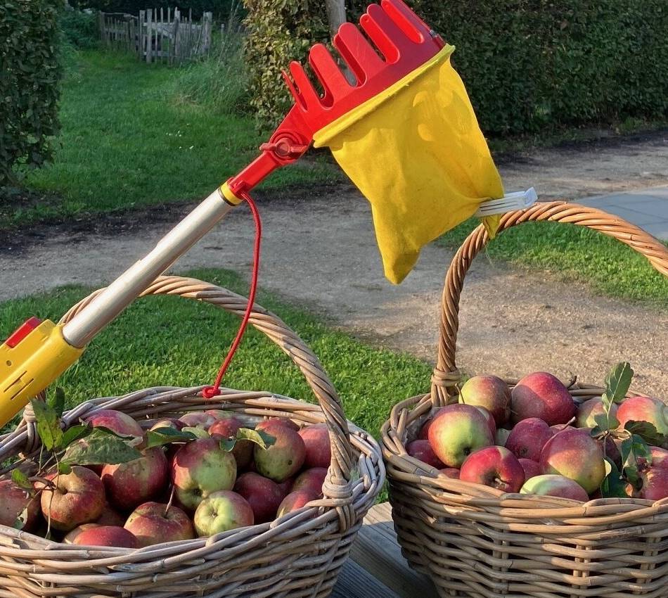 Wettbewerb „Nettetal fürs Klima“: Saftige Streuobstwiesen und bunte Staudenbeete