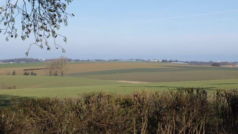 Windkraft in Mettmann: Windstill wendet sich mit offenem Brief an Regionalrat