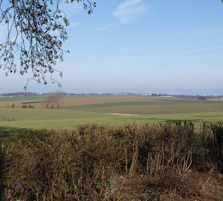 Windkraft in Mettmann: Windstill wendet sich mit offenem Brief an Regionalrat