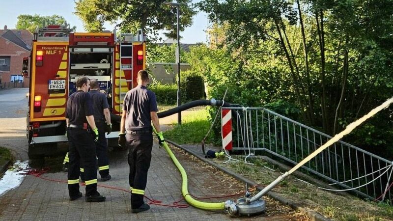 Einsatz in Hünxe: Feuerwehr hilft unter Hitze leidenden Fischen