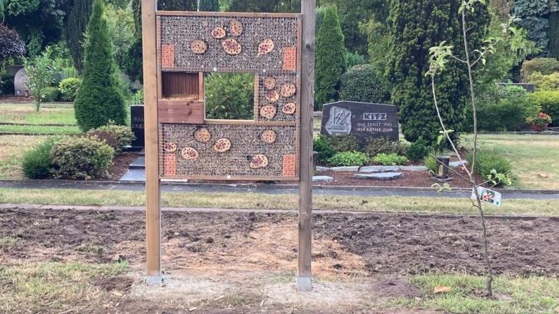 Sozialökologischer Tag am St. Wolfhelm Gymnasium: Schüler bauen Insektenhotel und Sandarium