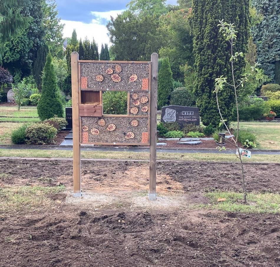 Sozialökologischer Tag am St. Wolfhelm Gymnasium: Schüler bauen Insektenhotel und Sandarium