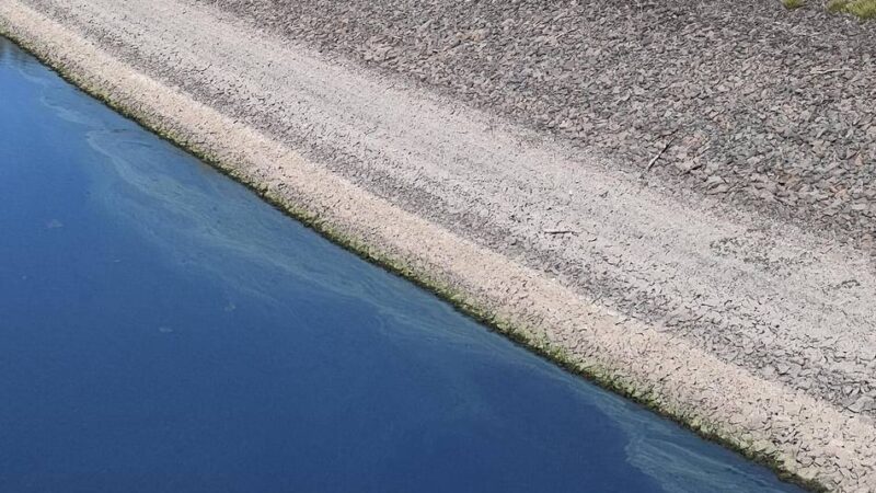 Gewässer bei Radevormwald: Blaualgen an Staumauer der Wuppertalsperre gesichtet