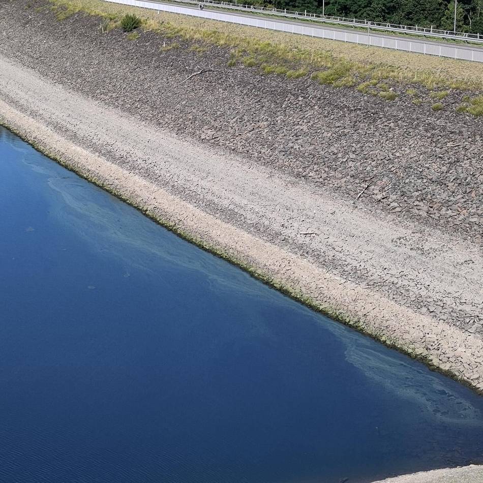 Gewässer bei Radevormwald: Blaualgen an Staumauer der Wuppertalsperre gesichtet