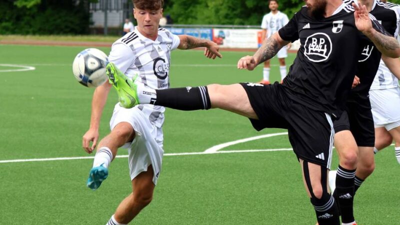 Fünf auf einen Streich: Das sind die neuen Spieler beim SV Schlebusch