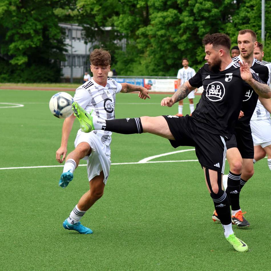 Fünf auf einen Streich: Das sind die neuen Spieler beim SV Schlebusch