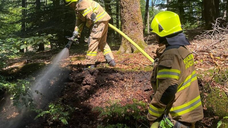 Feuerwehr Hückeswagen: Kanada-Gänse, kleiner Waldbrand und Betriebsstoffe
