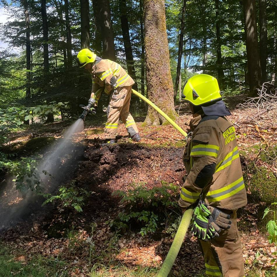 Feuerwehr Hückeswagen: Kanada-Gänse, kleiner Waldbrand und Betriebsstoffe
