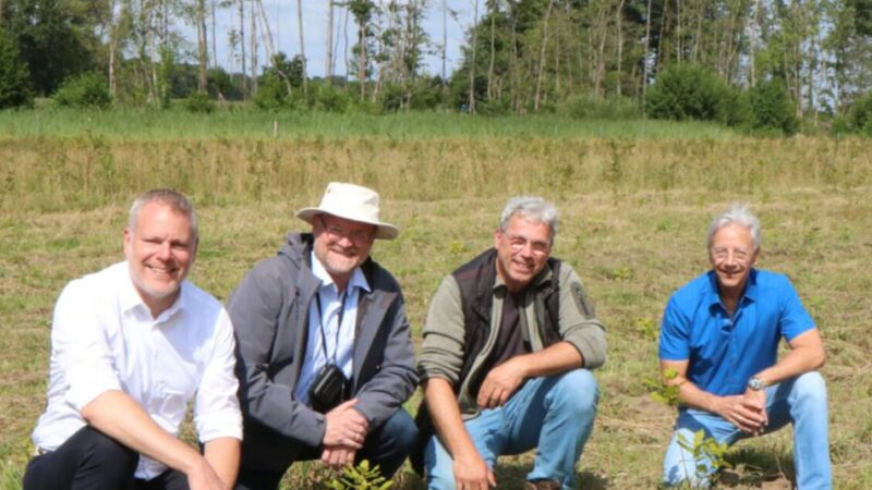 Stieleichen, Hainbuchen und mehr: Kleiner Wald zum Jubiläum des Kreises Viersen gepflanzt